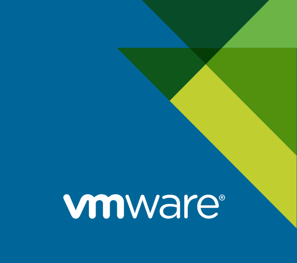  VMware Consolidated Backup